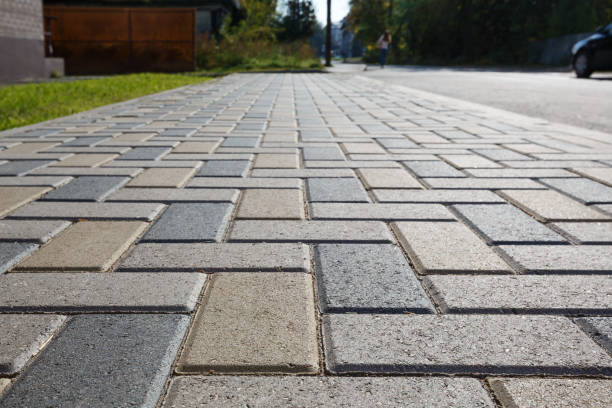 Best Local Driveway Pavers  in Anoka, MN