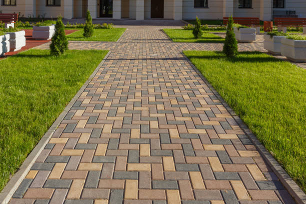 Best Driveway Pavers Near Me  in Anoka, MN